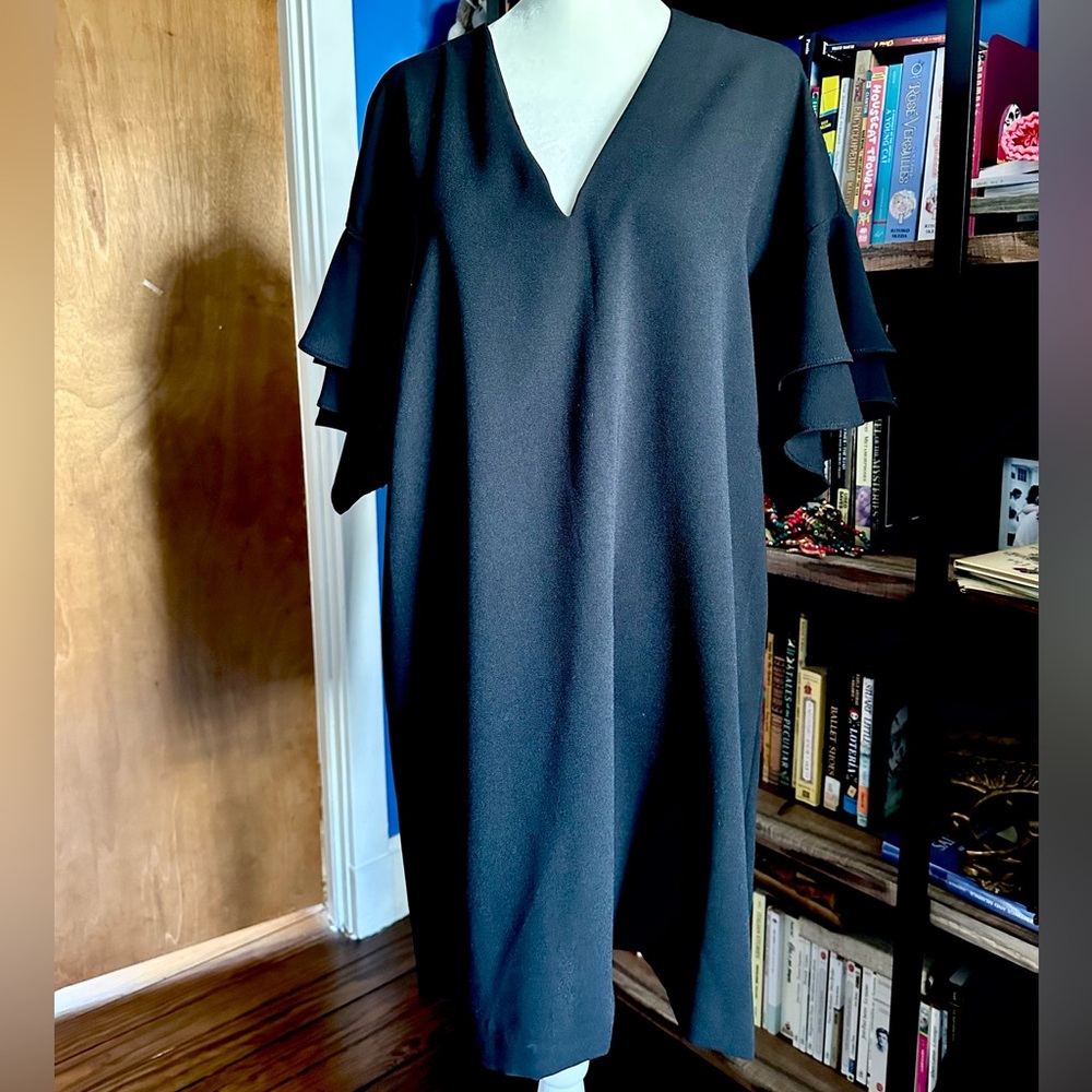 Elegant Black Ruffle Sleeve Dress